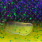 purple rave