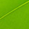 highlander green