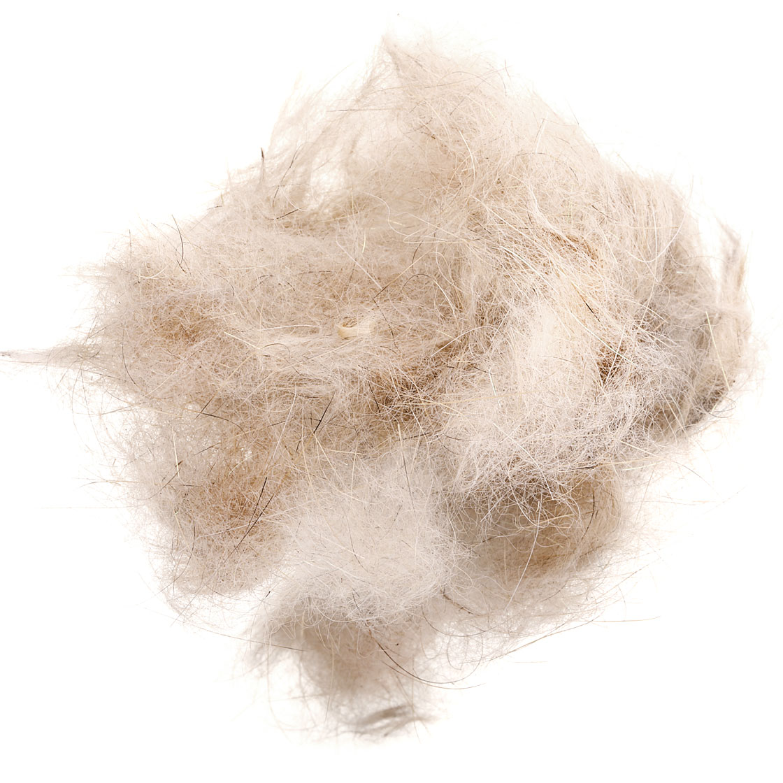 P-17424-2_soldarini_hares-ear_dubbing_sparkle-belly belly sparkle