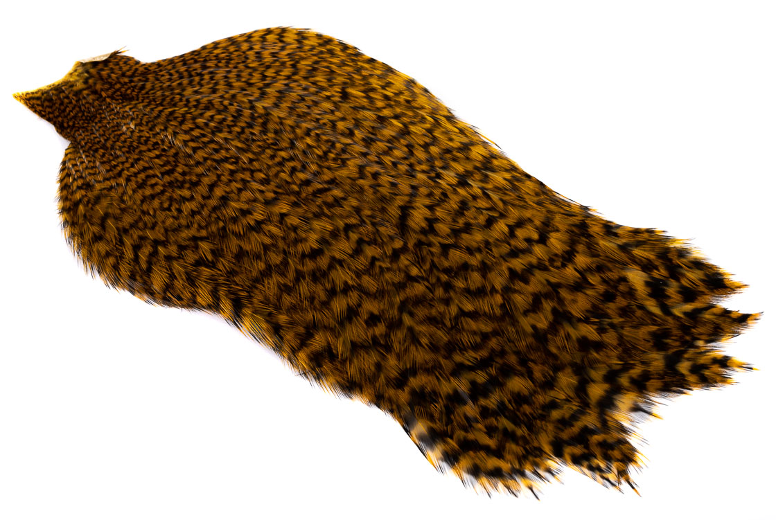 grizzly olive copper