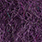 purple peril