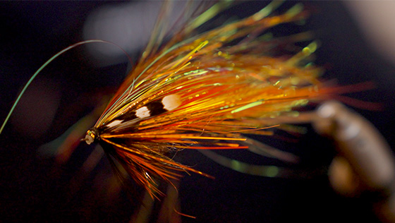 Bindevideo 'Flashwing Tube Fly' - Bereit für den Hype? 