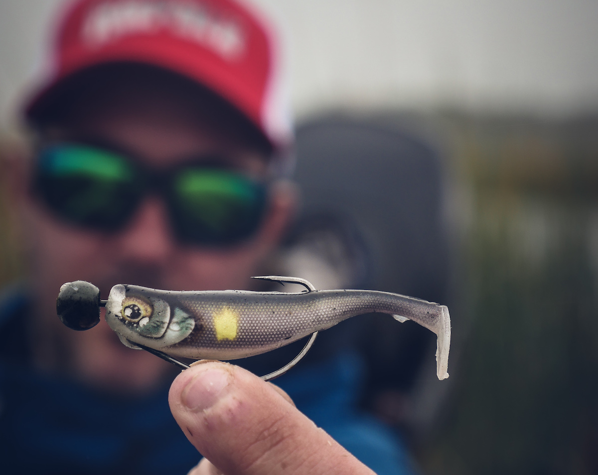 Storm_Hit_Shad_7 Storm Hit Shad