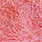 shrimp pink