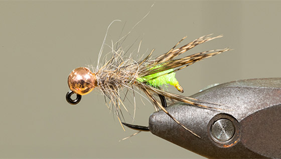Bindevideo Peeping Caddis Jig mit Alexander Keus
