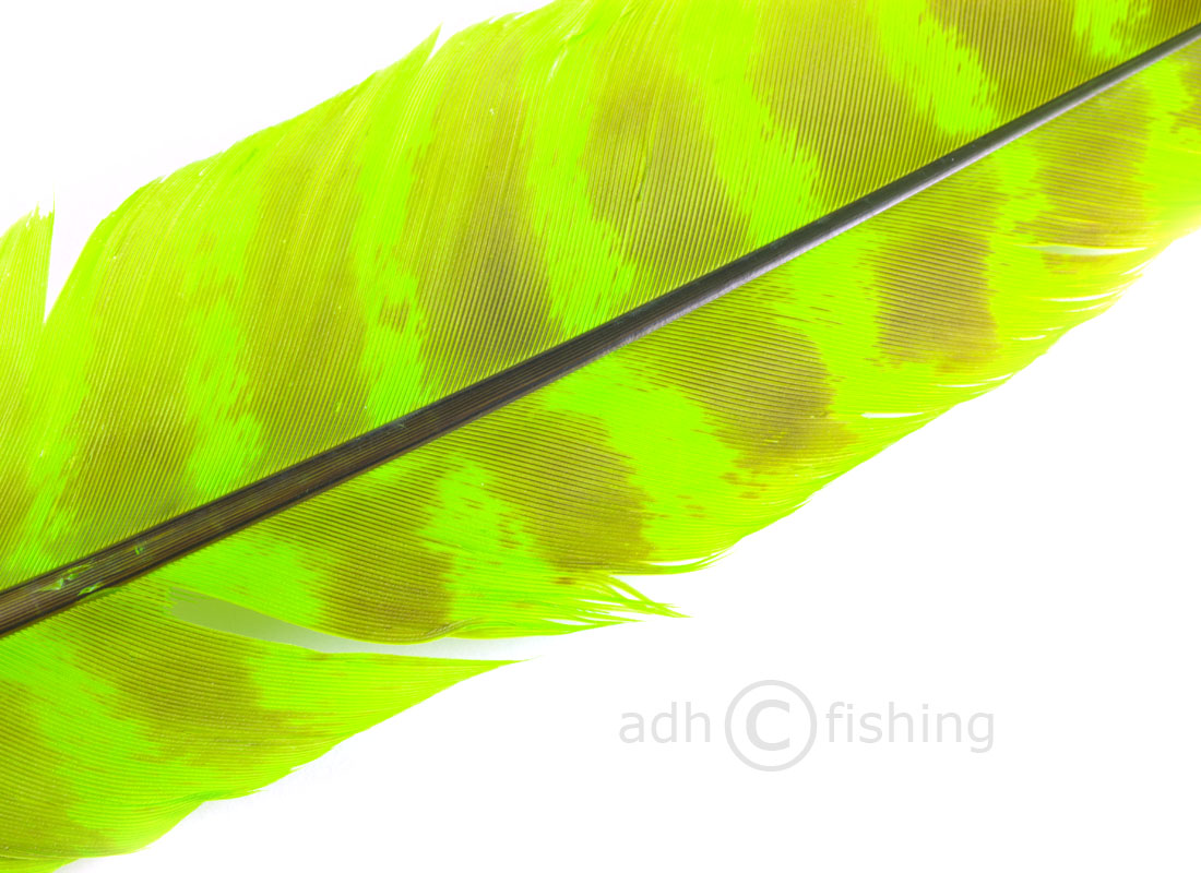 fluo chartreuse