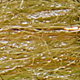 pale bronze