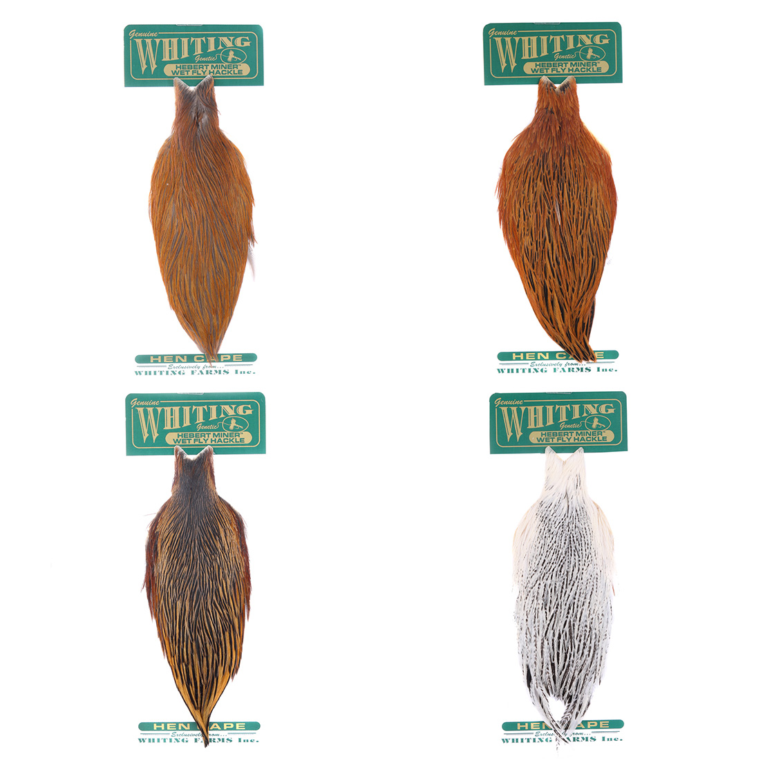 Whiting Hebert Hen Cape Whiting Hebert Hen Cape