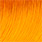 pumpkin orange