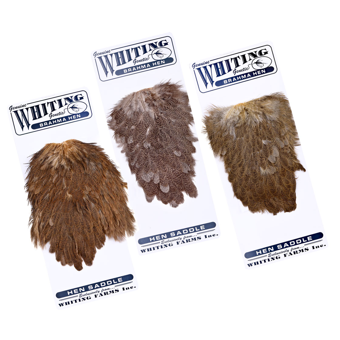 Whiting Brahma Hen Saddle