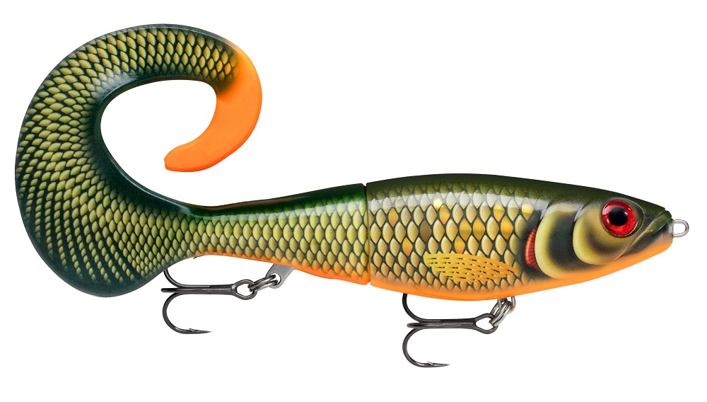 Scaled Roach