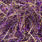 holo gold/purple