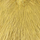 white dyed golden olive