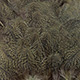 speckled olive