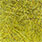 light olive