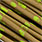 brown / chartreuse