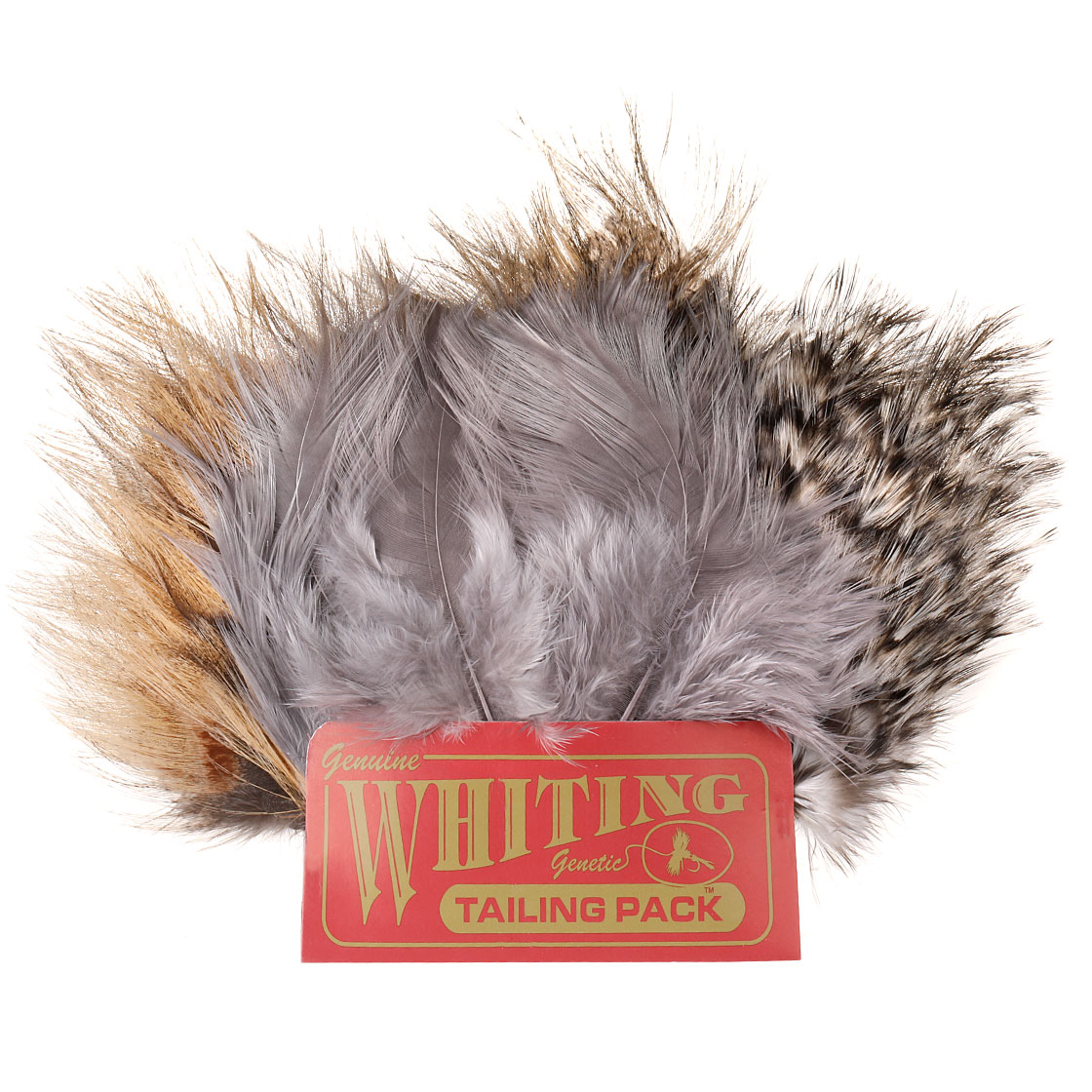 P-05030_Whiting-Coq-de-Leon-Tailing-Pack_titel-neu