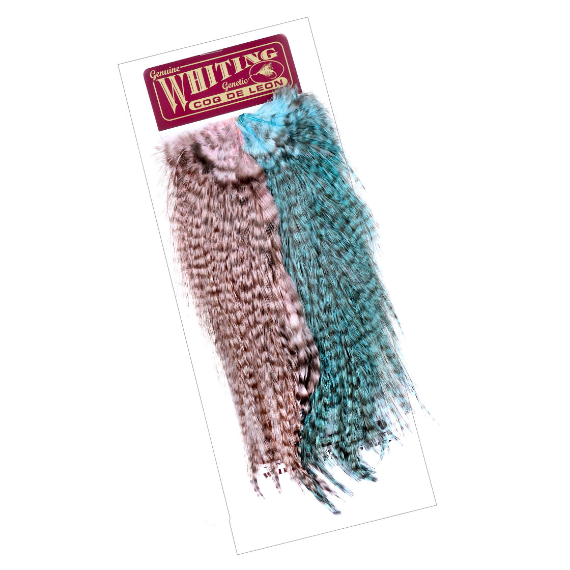 P-15937-2_Whiting-Rooster-Coq-de-Leon-Predator-Pack_pink-kingfisher pink/kingfisher