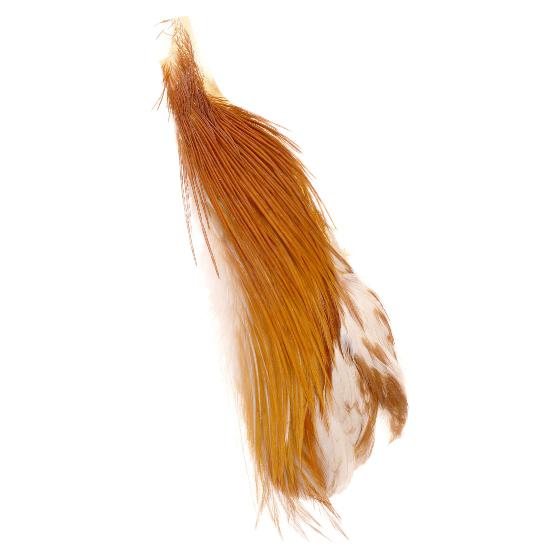 variant