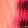 shrimp/hot pink