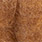 ginger