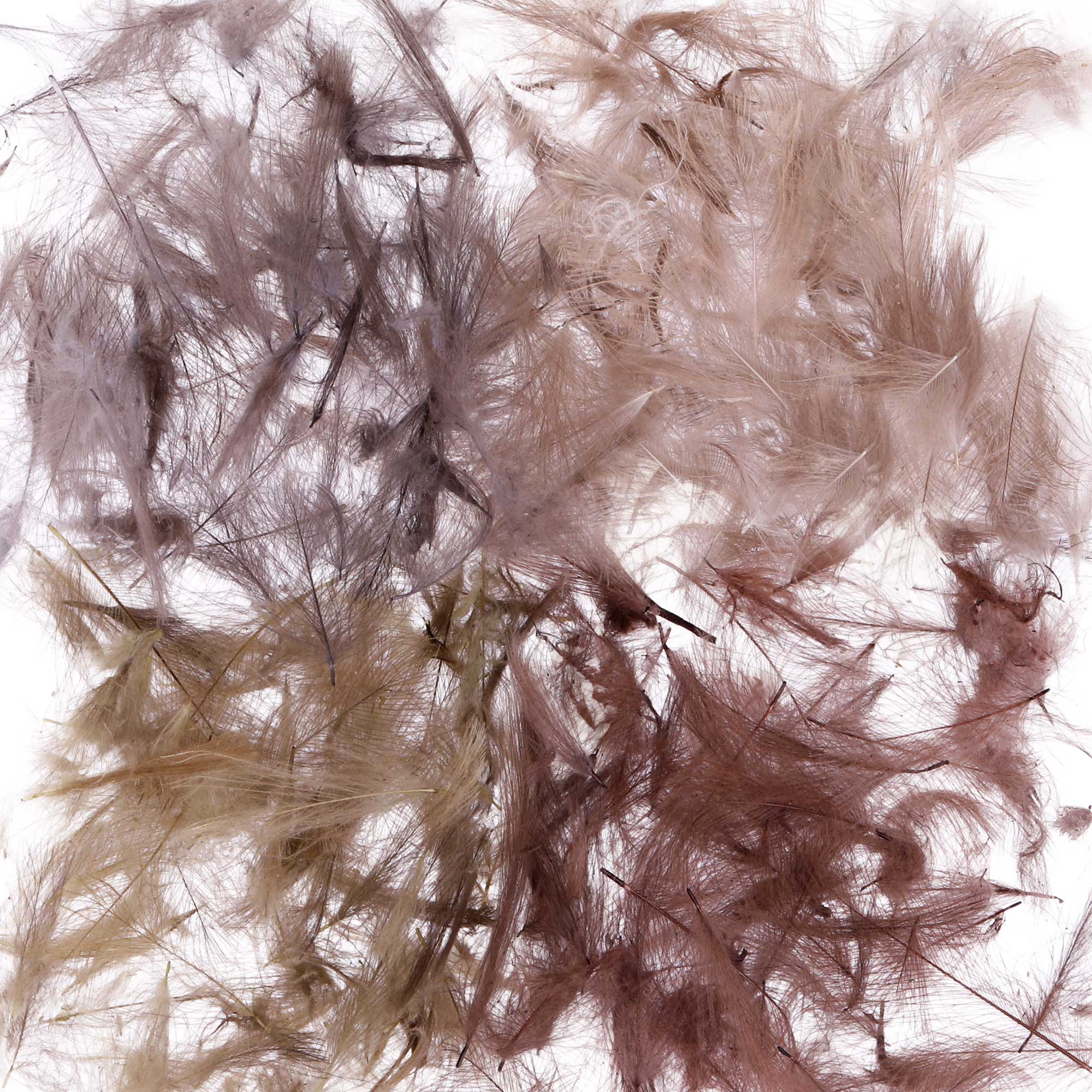 Soldarini Wild CDC Feather 0,6 g Pack