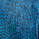 grizzly dyed kingfisher blue