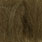 dark olive brown (beatis rhodani)
