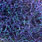 uv black