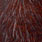 grizzly dyed coachman brown