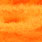 competition sunburst