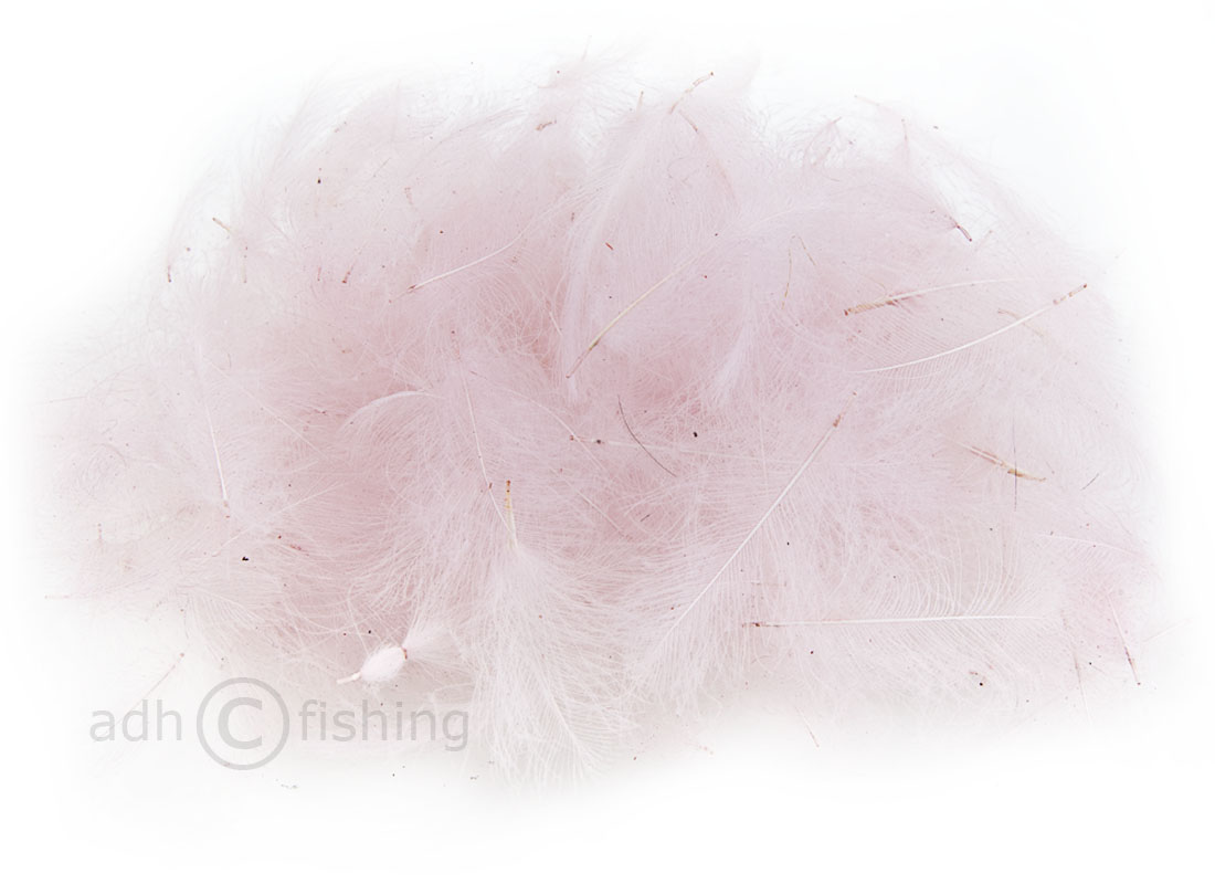 03 anemone