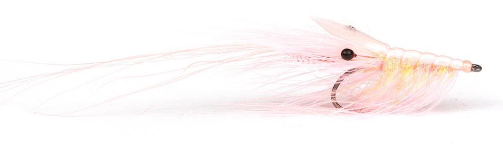 Guideline-Pattegrisen-Salmon-Pink