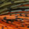 magic pumkin craw
