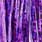 holo purple