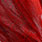 pardo dyed red