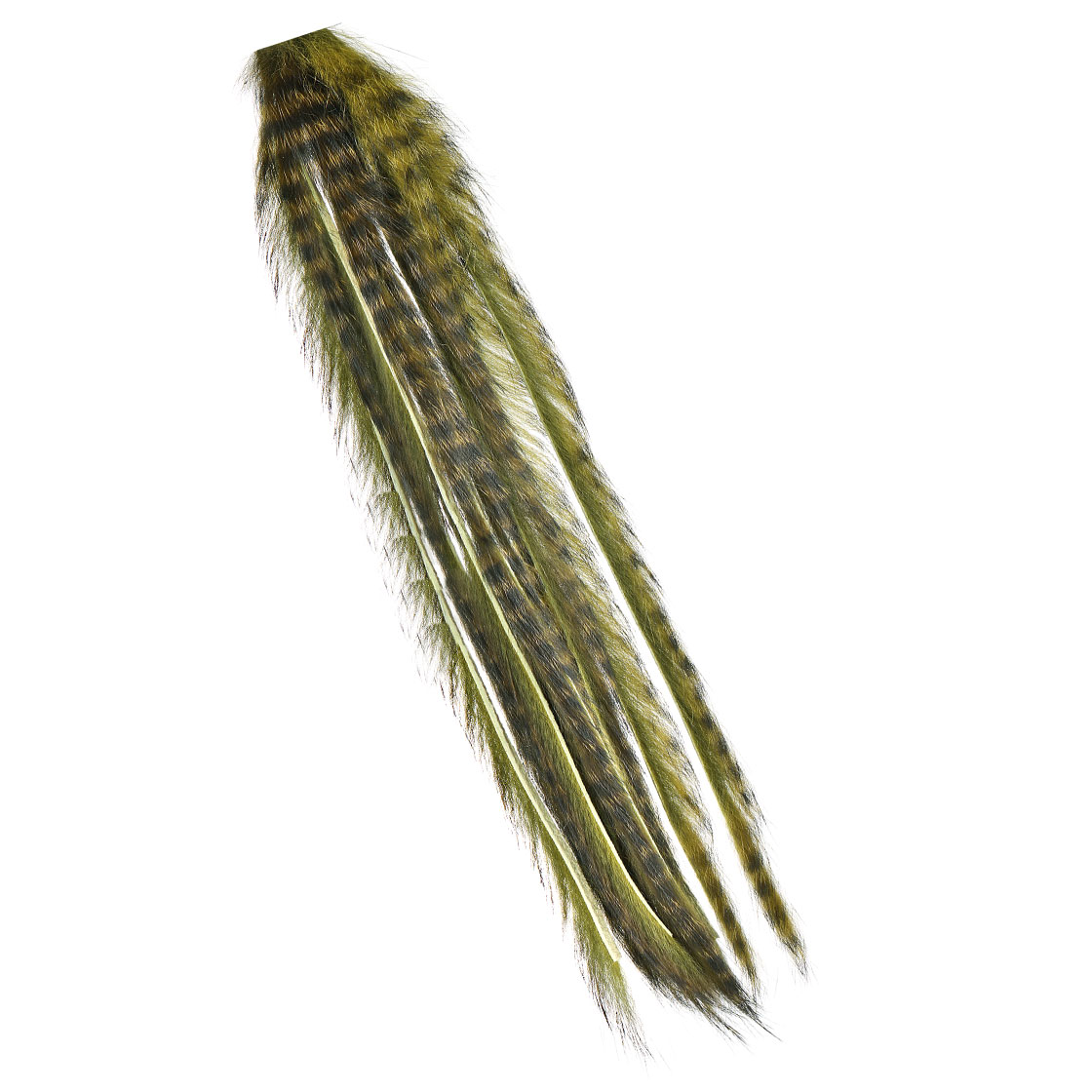 Olive Grizzly Black Barred