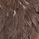 brown gray dun