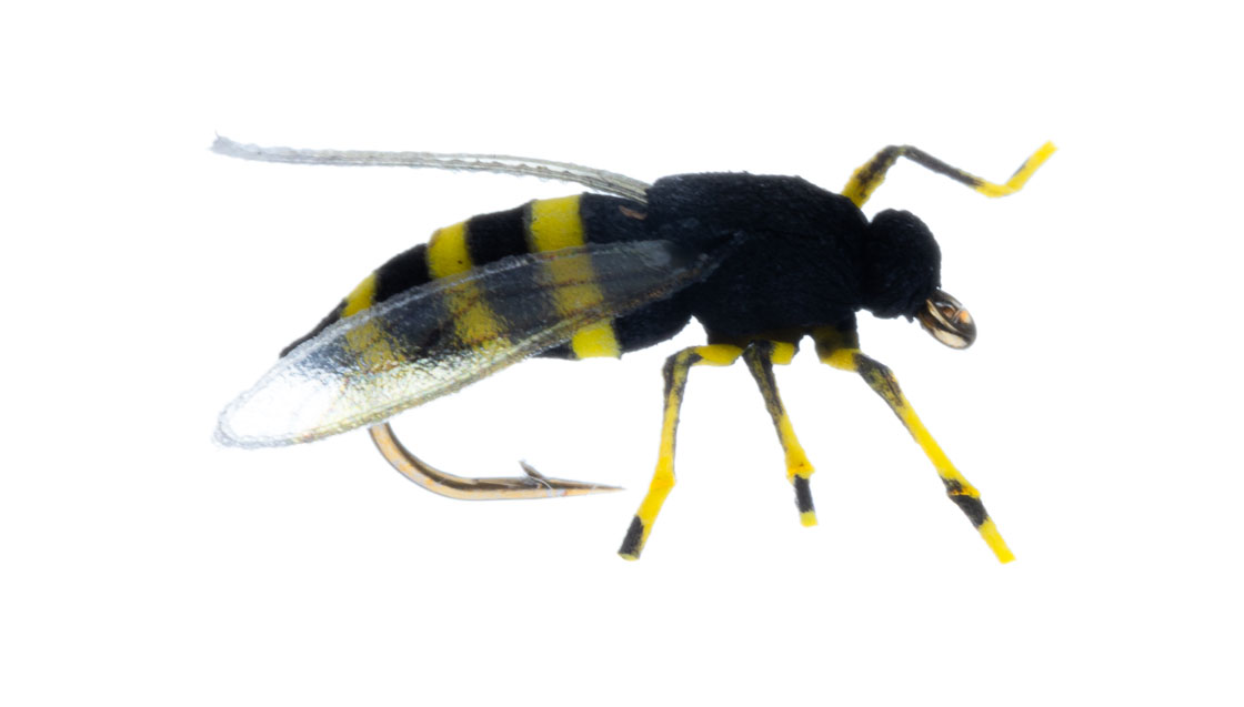 15914_Vania-Realistic-Honey-Wasp_1 Vania Realistic Honey Wasp Trockenfliege