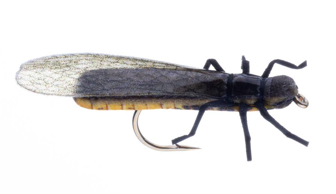 15620_Vania-Realistic-European-Dryfly_1 Vania Realistic European Stonefly Trockenfliege