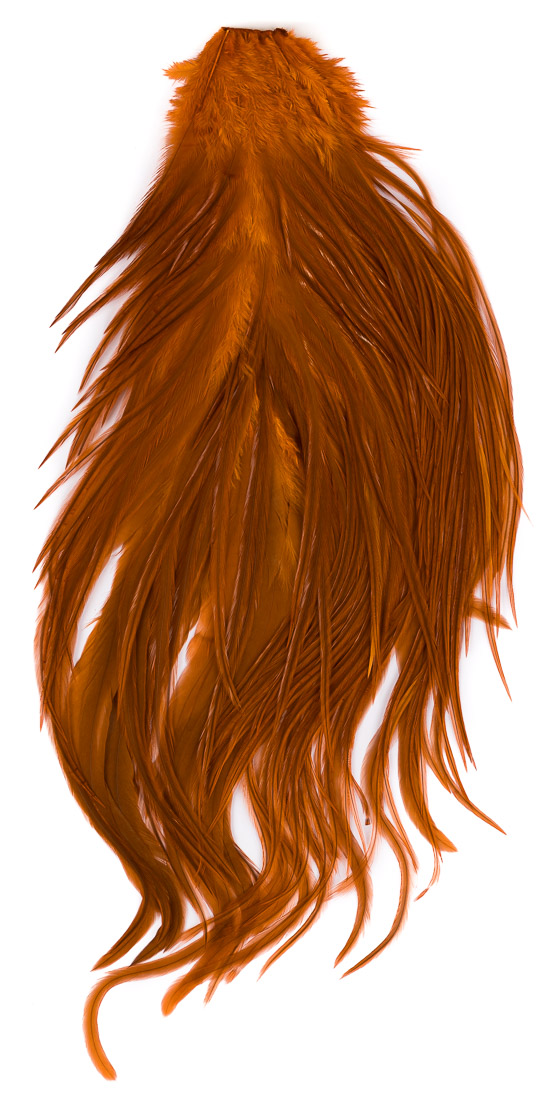 burnt orange