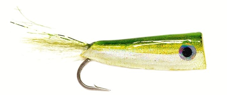Fulling Mill Crease Fly  Popper #1/0 Olive & Back