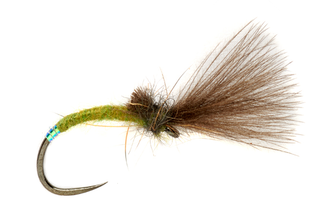 P-21121_FullingMill_Procters_Pearly_Butt_Emerger Fulling Mill Trockenfliege - Procter's Pearly Butt Olive Emerger Barbless