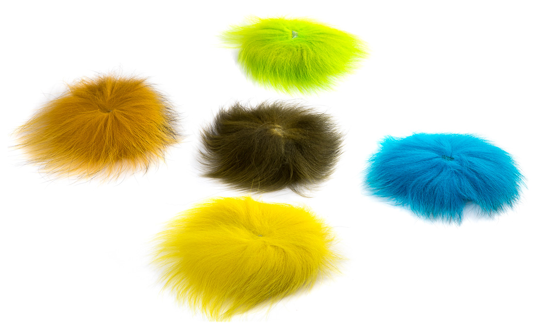 future_fly_marble_fox_title_3