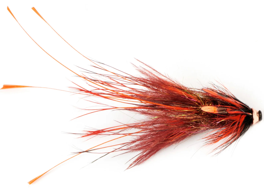 P-25335_Frodin_FLies_Pig_Series_Pahta_ Frödin Flies Tubenfliege Pig Series - Pahta