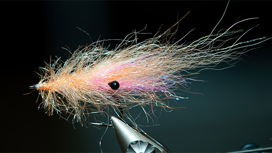 Bindevideo 'Chenille Shrimp' Meerforellenfliege mit Florian Gräser