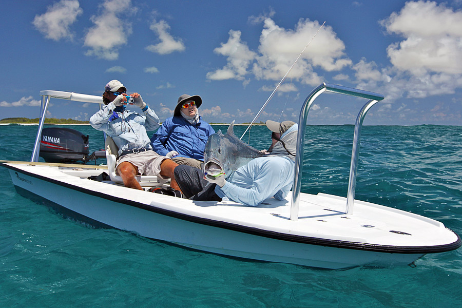 alphonse8 - Reise-Tipp: Alphonse Island