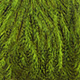 speckled fluo green chartreuse