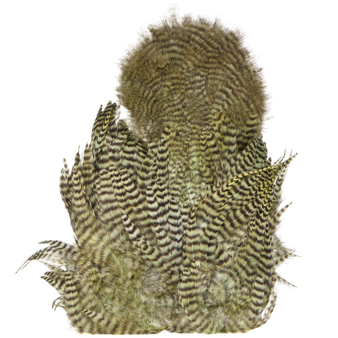 P-25432-10_Whiting-Rooster-SH-C_grizzly-dyed-olive grizzly dyed olive