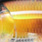 real golden shiner